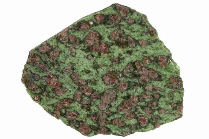 Polished Pyrope, Forsterite, Diopside & Omphacite Slice - Norway #131442